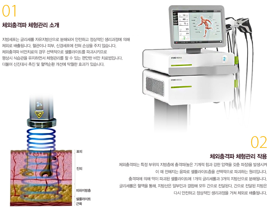 체외충격파 체형관리 소개, 작용