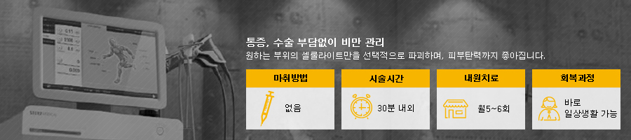 SD1충격파 체형관리