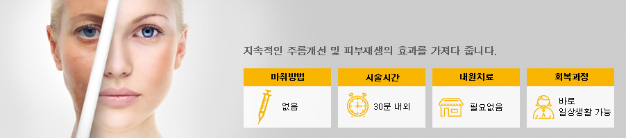 부위별 프로그램