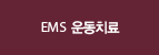 EMS 운동치료