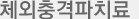 체외충격파치료